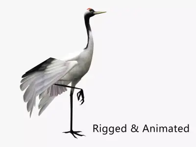 low-poly animated crane bird Low-poly 3D model