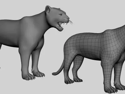 Leopard Topology Uv Map Free low-poly 3D model
