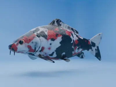 Carp Koi Fish Low-poly 3D model