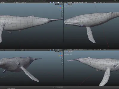 Blue whale  Low-poly 3D model