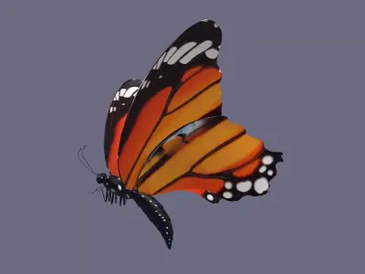 butterfly antenna wing insect fly wildlife summer sky 3D model