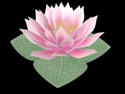 Water Lily Low-poly 3D model