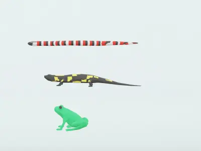 Low poly wild animals  Low-poly 3D model