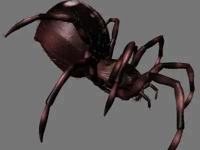 3D Modelnature animal creepy tarantula idle horror arachnid 3D model