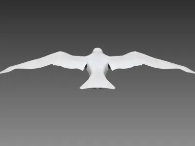 Crow base mesh for Zbrush 3D model