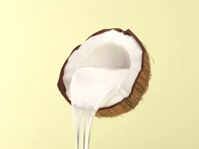 Coco and coco party on scene 3D model