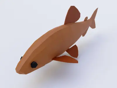 Brown trout fish 3d model  Low-poly 3D model