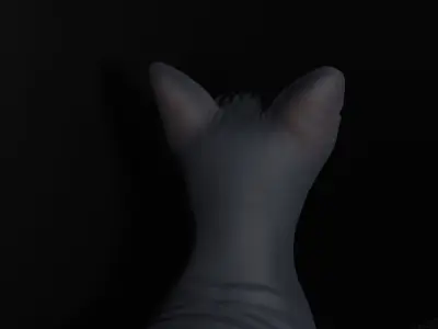 Egyptian Sphynx Cat  LowPoly GameReady Low-poly 3D model