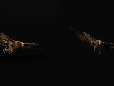 Golden Eagle Bird Low-poly 3D model