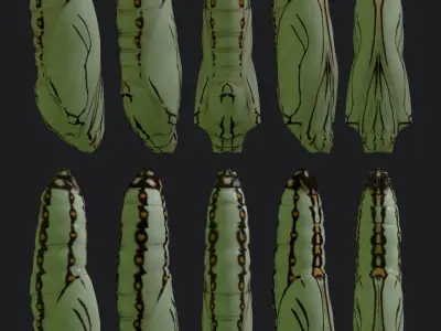 Chrysalis 2 butterfly Low-poly 3D model