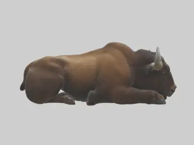 Lying Bison Model 1 Low-poly 3D model
