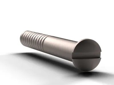 Flat Screw Low-poly 3D model