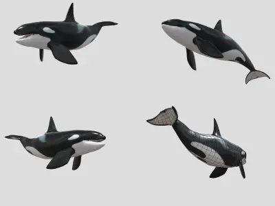 Big Fish Collection Animated - Game Ready Low-poly 3D model