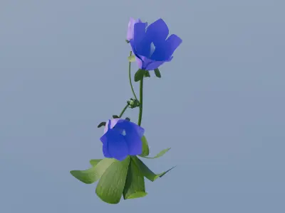 CanterburyBell flower 3D print model