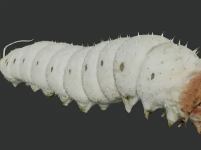 Silkworm fully rigged 3D model