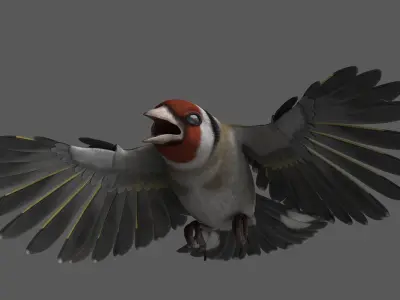 European Goldfinch Rigged 3D model