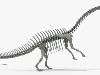 Brontosaurus Rigged Skeleton Low-poly 3D model