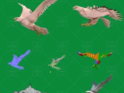 White Morph Gyrfalcon Bird Low-poly 3D model