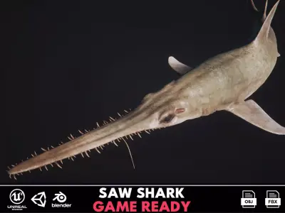 Saw Shark Low-poly 3D model