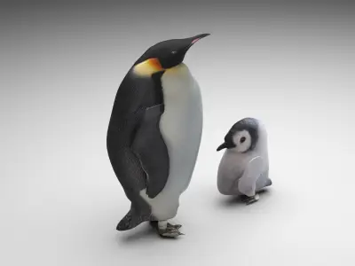Penguins 3D model