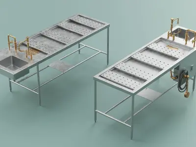 Forensic Pathology Station with Integrated Faucet 3D model