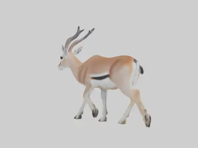Grants gazelle Low-poly 3D model