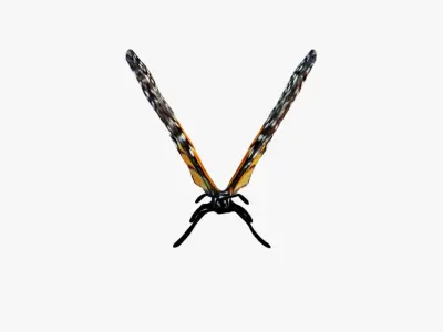 Butterfly Free 3D model