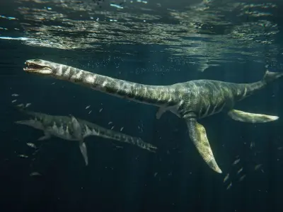 Zarafasaura - Plesiosaurs Elasmosaurs Low-poly 3D model