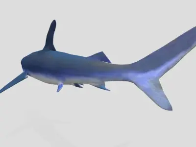 Blue Shark Realistic Animated Low-poly 3D model