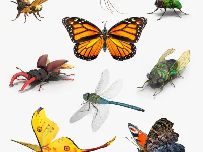 Rigged Flying Insects Collection 4 for Cinema 4D 3D model