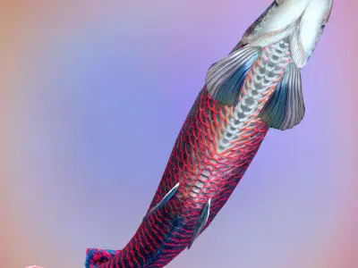 Fish Arapaima Gigas Low-poly 3D model