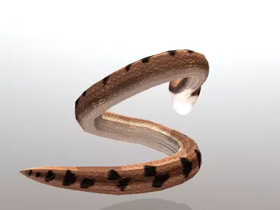 Sand Snake Attack Anihilation Animation 3D model