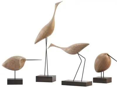Beak Bird Teak 3D model