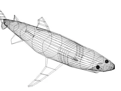 Shark - Piked 3D model