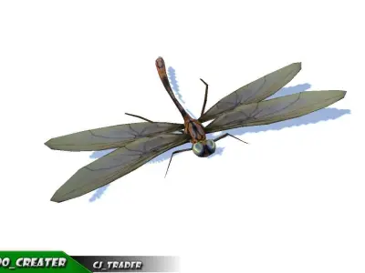 Low-Poly Dragonfly Rigged Animated 3D Model Low-poly 3D model