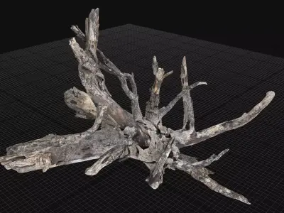 Tree Root 3d scan in highpoly 3D model