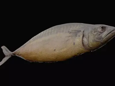 Fire Grilled Fish Low-poly 3D model