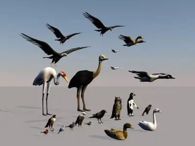 Game ready Low Poly bird collection two bald eagles flying in... Free low-poly 3D model