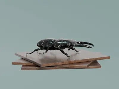 House Decoration Stag Beetle Statue Low-poly 3D model