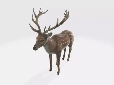 A brown deer with large antlers 3D model