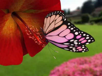 Butterfly With Flower 3d Model  3D model
