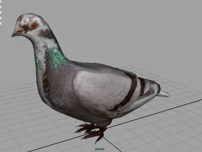 Dove Low-Poly pigeon Low-poly 3D model
