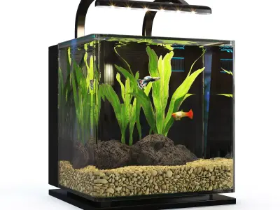 Contour Desktop MarineLande Aquarium 3D model