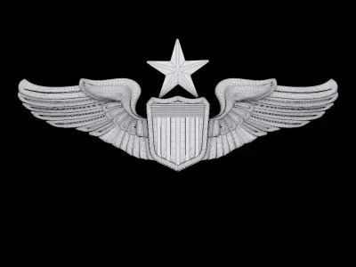 Senior Pilot USAF Wings Badge 3D model