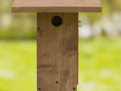 Birdhouse for Bluebirds 3D model