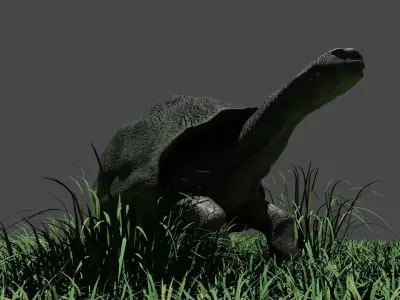 Galapagos Giant Turtle Low-poly 3D model