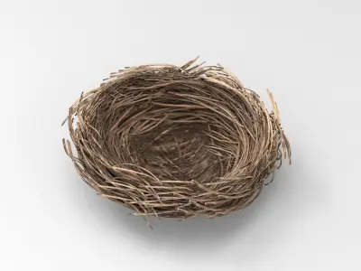 Bird Nest 3D model Low-poly 3D model