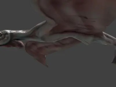 Terafin - prehistoric flying creature Low-poly 3D model