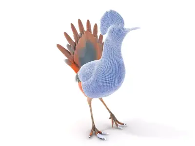 Orange Crested Bird model pack Low-poly 3D model