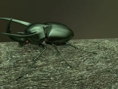 Chalcosoma Atlas beetle Textured no-rigging 3D model